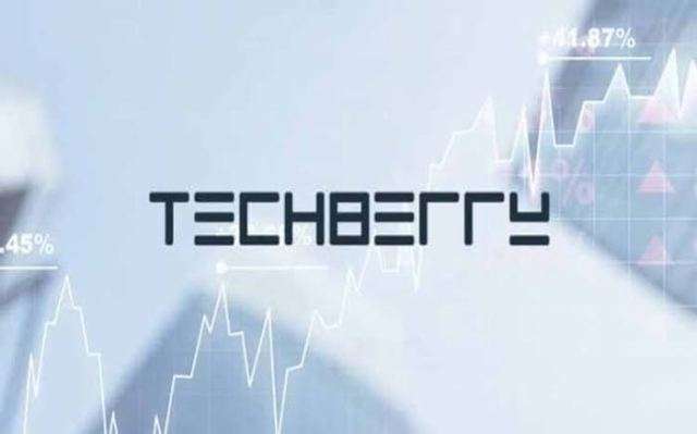 Techberry Review
