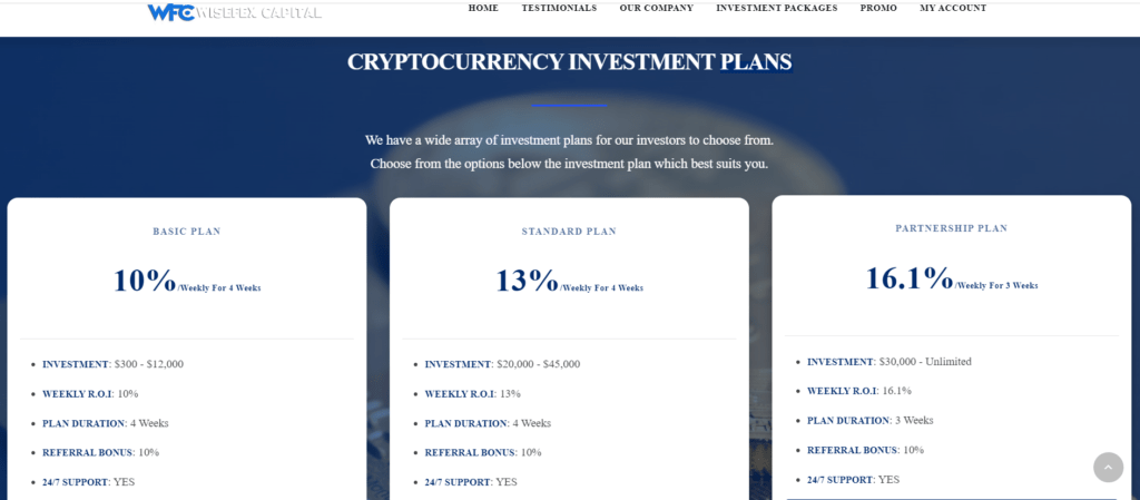 Wisefex Capital Limited Reviews: Can You Trust Wisefex?