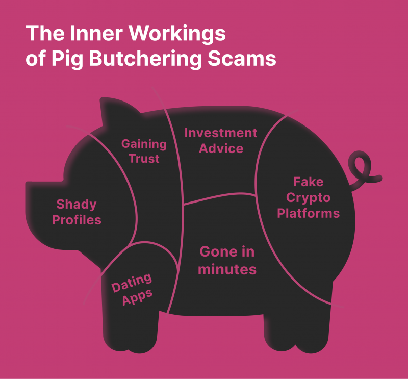 Protecting Yourself from the Pig Butchering Scams