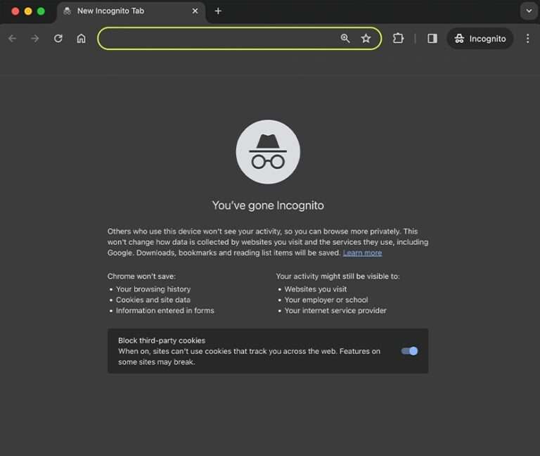 How To See Browser Incognito History