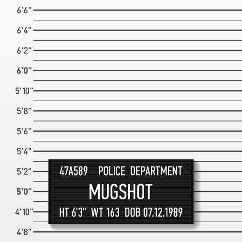 Hoe u uw mugshot van internet kunt halen